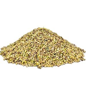 Dhania Sabut - 100 Grams