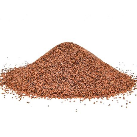 Rai Sabut - 100 Grams