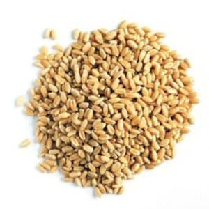 Haleem Gandum - 500 Grams